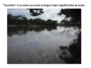 "Tocantins" é un nome con orixe na lingua Tupi e significa bico de tucán.

 