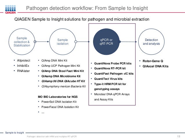 Rotorgene Software