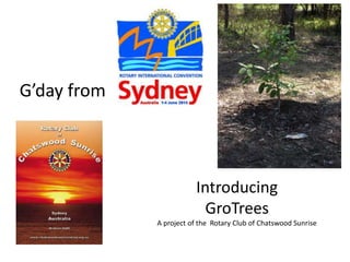 Introducing
GroTrees
A project of the Rotary Club of Chatswood Sunrise
G’day from
 