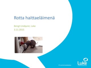 © Luonnonvarakeskus
Bengt Lindqvist, Luke
3.11.2015
Rotta haittaeläimenä
 