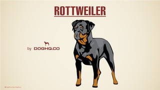 by
© DogHQ.co http://doghq.co
ROTTWEILER
 