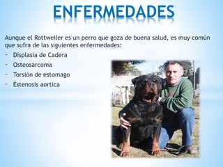 Aunque el Rottweiler es un perro que goza de buena salud, es muy común
que sufra de las siguientes enfermedades:
- Displasia de Cadera
- Osteosarcoma
- Torsión de estomago
- Estenosis aortica
ENFERMEDADES
 