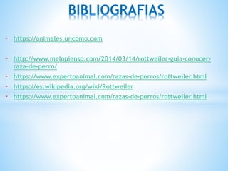 - https://animales.uncomo.com
- http://www.melopienso.com/2014/03/14/rottweiler-guia-conocer-
raza-de-perro/
- https://www.expertoanimal.com/razas-de-perros/rottweiler.html
- https://es.wikipedia.org/wiki/Rottweiler
- https://www.expertoanimal.com/razas-de-perros/rottweiler.html
BIBLIOGRAFIAS
 