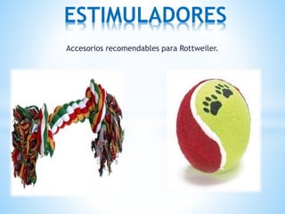 Accesorios recomendables para Rottweiler.
ESTIMULADORES
 