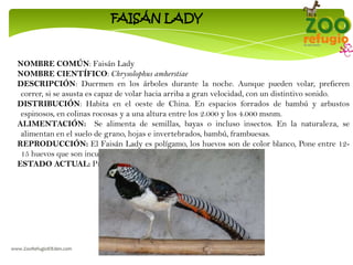 Zoo Refugio el Eden. Rotulos de Informacion de las Especies - Puyo ...