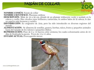 Zoo Refugio el Eden. Rotulos de Informacion de las Especies - Puyo ...