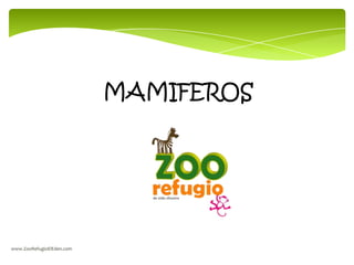 MAMIFEROS

www.ZooRefugioElEden.com

 