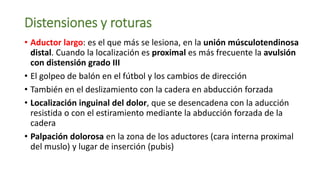 Distensiones y roturas
• Aductor largo: es el que más se lesiona, en la unión músculotendinosa
distal. Cuando la localización es proximal es más frecuente la avulsión
con distensión grado III
• El golpeo de balón en el fútbol y los cambios de dirección
• También en el deslizamiento con la cadera en abducción forzada
• Localización inguinal del dolor, que se desencadena con la aducción
resistida o con el estiramiento mediante la abducción forzada de la
cadera
• Palpación dolorosa en la zona de los aductores (cara interna proximal
del muslo) y lugar de inserción (pubis)
 