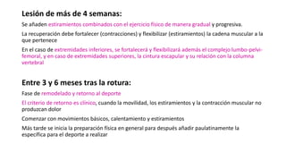 Lesión de más de 4 semanas:
Se añaden estiramientos combinados con el ejercicio físico de manera gradual y progresiva.
La recuperación debe fortalecer (contracciones) y flexibilizar (estiramientos) la cadena muscular a la
que pertenece
En el caso de extremidades inferiores, se fortalecerá y flexibilizará además el complejo lumbo-pelvi-
femoral, y en caso de extremidades superiores, la cintura escapular y su relación con la columna
vertebral
Entre 3 y 6 meses tras la rotura:
Fase de remodelado y retorno al deporte
El criterio de retorno es clínico, cuando la movilidad, los estiramientos y la contracción muscular no
produzcan dolor
Comenzar con movimientos básicos, calentamiento y estiramientos
Más tarde se inicia la preparación física en general para después añadir paulatinamente la
específica para el deporte a realizar
 