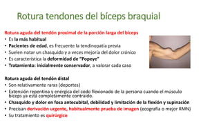 Rotura tendones del bíceps braquial
Rotura aguda del tendón proximal de la porción larga del bíceps
• Es la más habitual
• Pacientes de edad, es frecuente la tendinopatía previa
• Suelen notar un chasquido y a veces mejoría del dolor crónico
• Es característica la deformidad de “Popeye”
• Tratamiento: inicialmente conservador, a valorar cada caso
Rotura aguda del tendón distal
• Son relativamente raras (deportes)
• Extensión repentina y enérgica del codo flexionado de la persona cuando el músculo
bíceps ya está completamente contraído.
• Chasquido y dolor en fosa antecubital, debilidad y limitación de la flexión y supinación
• Precisan derivación urgente, habitualmente prueba de imagen (ecografía o mejor RMN)
• Su tratamiento es quirúrgico
 