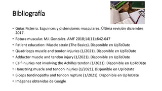 Bibliografía
• Guías Fisterra. Esguinces y distensiones musculares. Última revisión diciembre
2017.
• Rotura muscular. MJ. González. AMF 2018;14(11):642-647
• Patient education: Muscle strain (The Basics). Disponible en UpToDate
• Quadriceps muscle and tendon injuries (1/2021). Disponible en UpToDate
• Adductor muscle and tendon injury (1/2021). Disponible en UpToDate
• Calf injuries not involving the Achilles tendon (1/2021). Disponible en UpToDate
• Hamstring muscle and tendon injuries (1/2021). Disponible en UpToDate
• Biceps tendinopathy and tendon rupture (1/2021). Disponible en UpToDate
• Imágenes obtenidas de Google
 