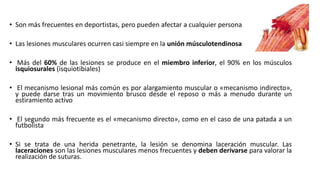 • Son más frecuentes en deportistas, pero pueden afectar a cualquier persona
• Las lesiones musculares ocurren casi siempre en la unión músculotendinosa
• Más del 60% de las lesiones se produce en el miembro inferior, el 90% en los músculos
isquiosurales (isquiotibiales)
• El mecanismo lesional más común es por alargamiento muscular o «mecanismo indirecto»,
y puede darse tras un movimiento brusco desde el reposo o más a menudo durante un
estiramiento activo
• El segundo más frecuente es el «mecanismo directo», como en el caso de una patada a un
futbolista
• Si se trata de una herida penetrante, la lesión se denomina laceración muscular. Las
laceraciones son las lesiones musculares menos frecuentes y deben derivarse para valorar la
realización de suturas.
 
