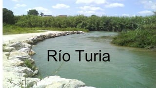 Río Turia

 