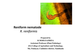 Reniform nematode
R. reniformis
Prepared by
R MOHANAPRIYA
Assisstant Professor (Plant Pathology)
JSA College of Agriculture and Technology,
Ma. Podaiyur, Cuddalore district, Tamilnadu
 