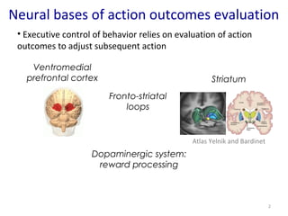 Neural bases of action outcomes evaluation 
2 
• Executive control of behavior relies on evaluation of action 
outcomes to adjust subsequent action 
Fronto-striatal 
loops 
Striatum 
Atlas Yelnik and Bardinet 
Ventromedial 
prefrontal cortex 
Dopaminergic system: 
reward processing 
 
