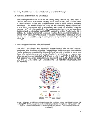 CAR-T CELLS IN SOLID TUMORS | PDF