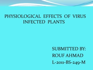 PHYSIOLOGICAL EFFECTS OF VIRUS
INFECTED PLANTS
SUBMITTED BY:
ROUF AHMAD
L-2011-BS-249-M
 