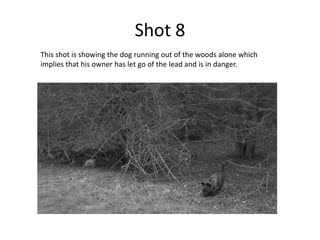 Shot 8
This shot is showing the dog running out of the woods alone which
implies that his owner has let go of the lead and is in danger.
 