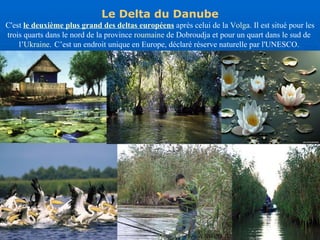 Le Delta du Danube C'est  le deuxième plus grand des  deltas   européens  après celui de la  Volga .  Il est situé pour les trois quarts dans le nord de la province  roumaine  de Dobro udja  et pour un quart dans le sud de  l’ Ukraine .   C ’ est un endroit unique en Europe, déclaré réserve naturelle par l'UNESCO.  