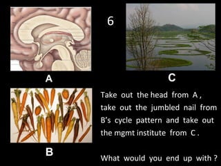 6 Take  out  the head  from  A ,  take  out  the  jumbled  nail  from B’s  cycle  pattern  and  take  out  the mgmt institute  from  C . What  would  you  end  up  with ? A B C 