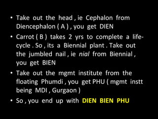 Take  out  the  head , ie  Cephalon  from  Diencephalon ( A ) , you  get  DIEN  Carrot ( B )  takes  2  yrs  to  complete  a  life-cycle . So , its  a  Biennial  plant . Take  out  the  jumbled  nail , ie  nial   from  Biennial , you  get  BIEN Take  out  the  mgmt  institute  from  the  floating  Phumdi , you  get PHU ( mgmt  instt  being  MDI , Gurgaon ) So , you  end  up  with  DIEN  BIEN  PHU 