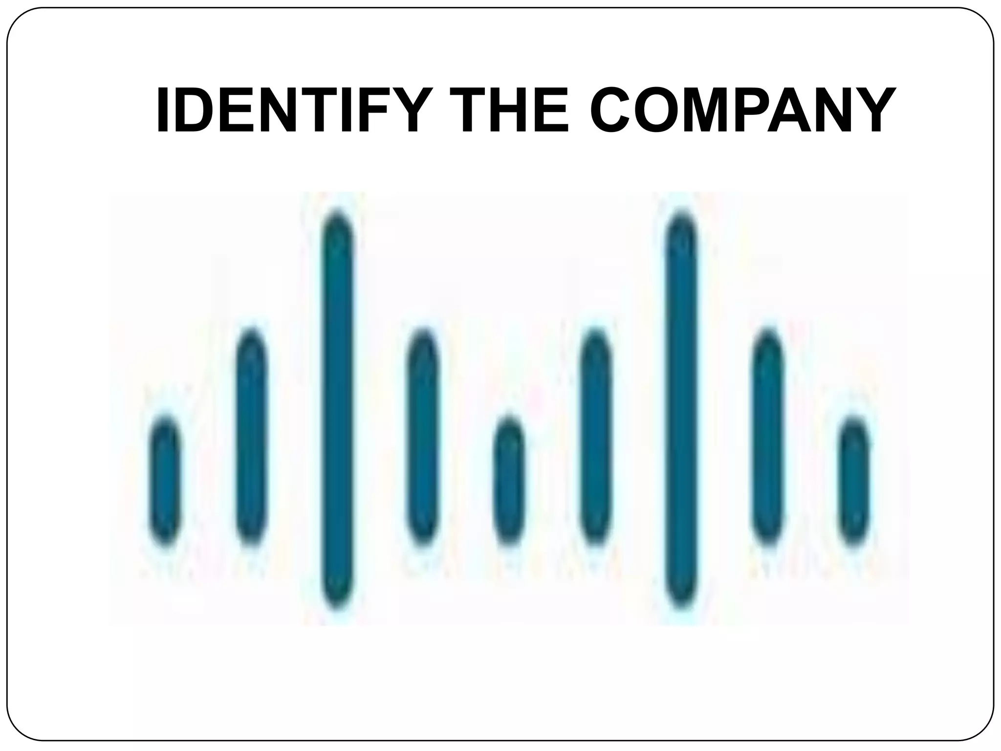 IDENTIFY THE COMPANY
 