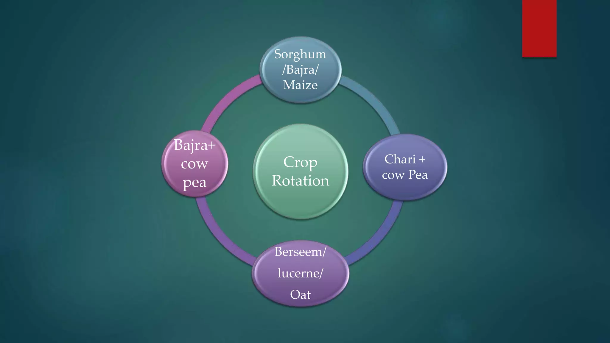 Round-the-year-fodder-production.pptx