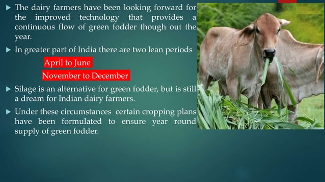 Round-the-year-fodder-production.pptx