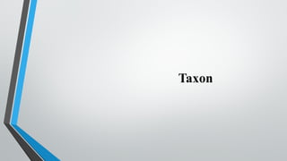 Taxon
 