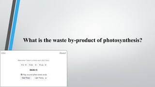 What is the waste by-product of photosynthesis?
 