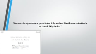 Tomatoes in a greenhouse grow faster if the carbon dioxide concentration is
increased. Why is that?
 