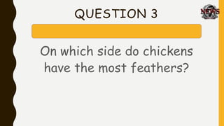 QUESTION 3
On which side do chickens
have the most feathers?
 