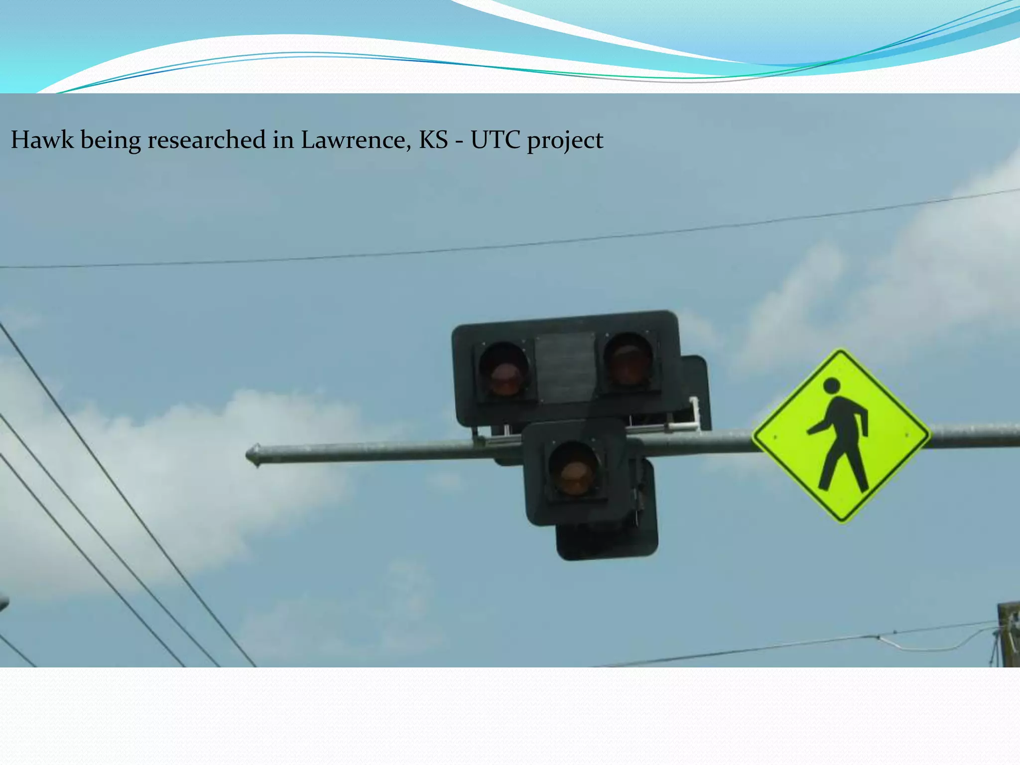 Hawk being researched in Lawrence, KS - UTC project
 