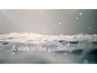 A walk in the garden
 