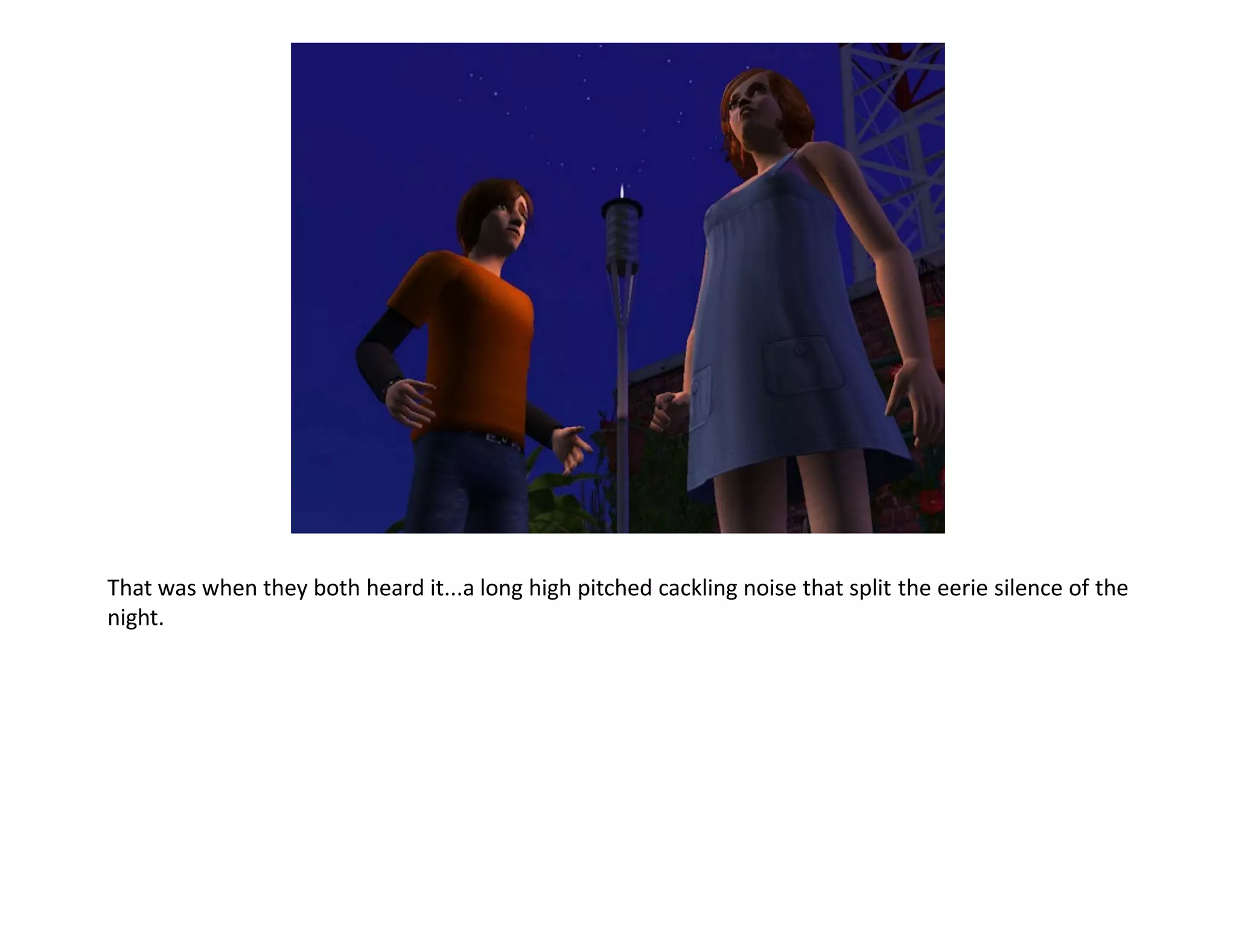 That was when they both heard it...a long high pitched cackling noise that split the eerie silence of the
night.
 