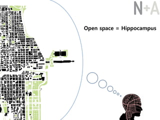Open space = Hippocampus
 