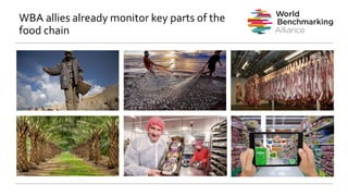 WBA allies already monitor key parts of the
food chain
 
