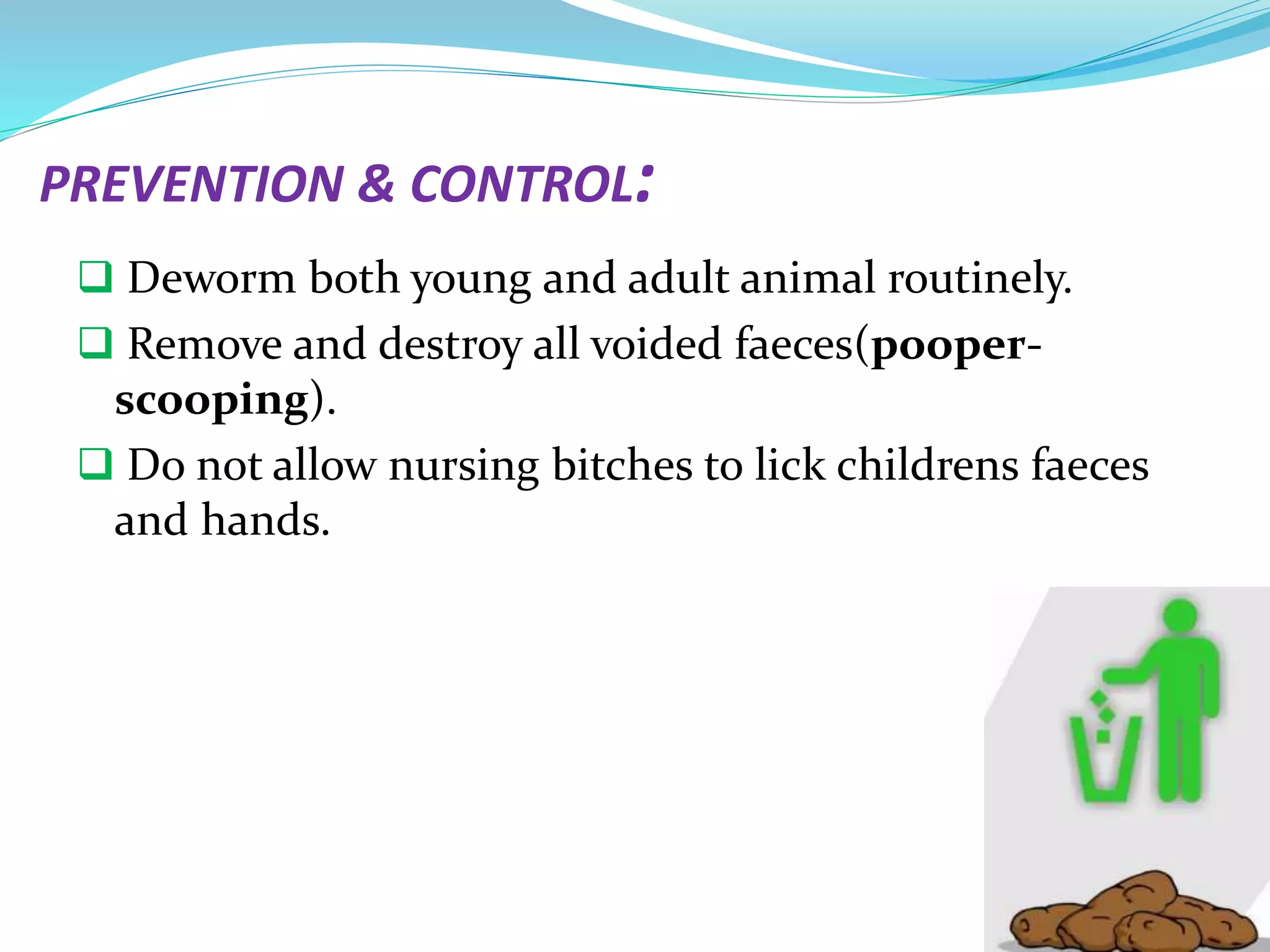 Round Worm infestation of Dog | PPT