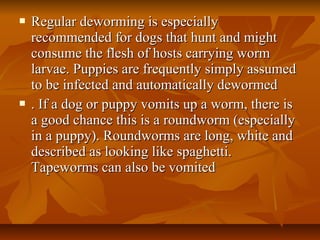  Regular deworming is especiallyRegular deworming is especially
recommended for dogs that hunt and mightrecommended for dogs that hunt and might
consume the flesh of hosts carrying wormconsume the flesh of hosts carrying worm
larvae. Puppies are frequently simply assumedlarvae. Puppies are frequently simply assumed
to be infected and automatically dewormedto be infected and automatically dewormed
 . If a dog or puppy vomits up a worm, there is. If a dog or puppy vomits up a worm, there is
a good chance this is a roundworm (especiallya good chance this is a roundworm (especially
in a puppy). Roundworms are long, white andin a puppy). Roundworms are long, white and
described as looking like spaghetti.described as looking like spaghetti.
Tapeworms can also be vomitedTapeworms can also be vomited
 