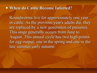  When do Cattle Become Infected?When do Cattle Become Infected?
Roundworms live for approximately one yearRoundworms live for approximately one year
in cattle. As the previous year's adults die, theyin cattle. As the previous year's adults die, they
are replaced by a new generation of parasites.are replaced by a new generation of parasites.
This stage generally occurs from June toThis stage generally occurs from June to
August. This annual cycle has two high pointsAugust. This annual cycle has two high points
for egg output: one in the spring and one in thefor egg output: one in the spring and one in the
late summer/early autumnlate summer/early autumn
 
