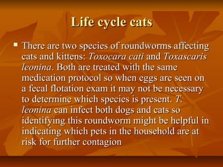 Life cycle catsLife cycle cats
 There are two species of roundworms affectingThere are two species of roundworms affecting
cats and kittens:cats and kittens: Toxocara catiToxocara cati andand ToxascarisToxascaris
leoninaleonina. Both are treated with the same. Both are treated with the same
medication protocol so when eggs are seen onmedication protocol so when eggs are seen on
a fecal flotation exam it may not be necessarya fecal flotation exam it may not be necessary
to determine which species is present.to determine which species is present. T.T.
leoninaleonina can infect both dogs and cats socan infect both dogs and cats so
identifying this roundworm might be helpful inidentifying this roundworm might be helpful in
indicating which pets in the household are atindicating which pets in the household are at
risk for further contagionrisk for further contagion
 