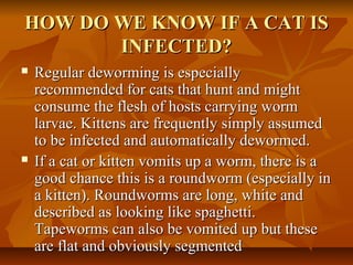 HOW DO WE KNOW IF A CAT ISHOW DO WE KNOW IF A CAT IS
INFECTED?INFECTED?
 Regular deworming is especiallyRegular deworming is especially
recommended for cats that hunt and mightrecommended for cats that hunt and might
consume the flesh of hosts carrying wormconsume the flesh of hosts carrying worm
larvae. Kittens are frequently simply assumedlarvae. Kittens are frequently simply assumed
to be infected and automatically dewormed.to be infected and automatically dewormed.
 If a cat or kitten vomits up a worm, there is aIf a cat or kitten vomits up a worm, there is a
good chance this is a roundworm (especially ingood chance this is a roundworm (especially in
a kitten). Roundworms are long, white anda kitten). Roundworms are long, white and
described as looking like spaghetti.described as looking like spaghetti.
Tapeworms can also be vomited up but theseTapeworms can also be vomited up but these
are flat and obviously segmentedare flat and obviously segmented
 