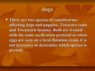 dogsdogs
 There are two species of roundwormsThere are two species of roundworms
affecting dogs and puppies: Toxocara canisaffecting dogs and puppies: Toxocara canis
and Toxascaris leonina. Both are treatedand Toxascaris leonina. Both are treated
with the samewith the same medicationmedication protocol so whenprotocol so when
eggs are seen on a fecal flotation exam, it iseggs are seen on a fecal flotation exam, it is
not necessary to determine which species isnot necessary to determine which species is
present.present.
 