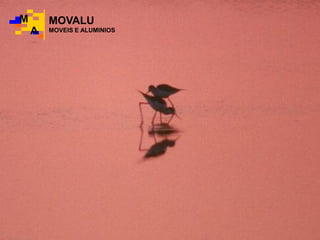 MOVALU
MOVEIS E ALUMINIOS
M
A
 