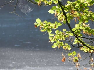 Les secondes 5 à Ermenonville avec Rousseau