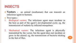 Route and source of infection | PPTX