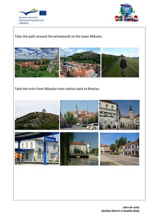 Libro de rutas
Healthy Mind in a Healthy Body
Take the path around the wineyeards to the town Mikulov.
Take the train from Mikulov train station back to Breclav.
 