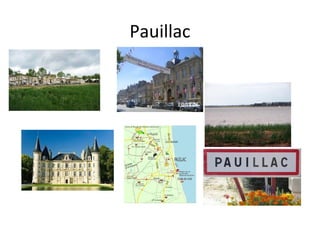 Pauillac