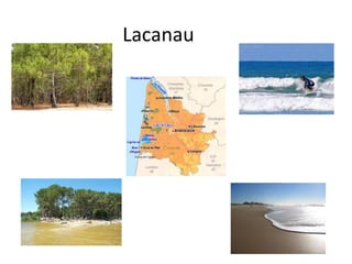 Lacanau
