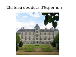 Château des ducs d’Espernon